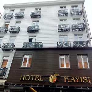 kayisi.istanbul-turkeyhotels.com/